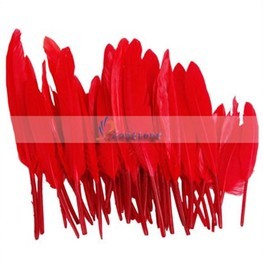 50pcs Home Decor Dark Red Goose Down Feather