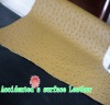 1.0mm ostrich sofa leather
