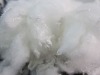 1.5DX38MM POLYESTER STAPLE FIBER