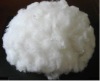 1.5d Super White Chinese exports of short fiber