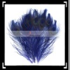 10 x Beautiful Peacock Feathers Dyed Blue