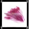 10 x Natural Peacock Feather Dyeing House Decoration Rose Red