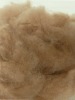 100% Camel Fiber