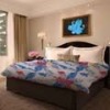 100% Cotton Bedding Duvet Set