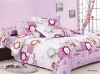 100% Cotton Classical Printed Bedding Set/Bedsheet