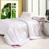 100%Cotton Embroidered Silk Plain Quilt