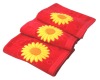 100% Cotton Jacquard Beach Towel with Applique