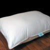 100% Cotton Plain Cushion