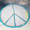 100%Cotton Promotion Round Beach Towel