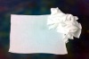 100%Cotton Single Jersey White (Mill Bleached) Rags
