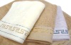 100% Cotton Towel(M2024)
