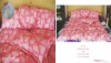 100% Cotton White Hotel Goose Down Quilt