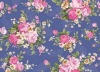 100% Cotton printed  Fabric/ Textile Fabrics