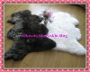 100% Geniune Sheepskin Rugs(Hot Sale)