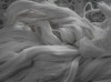 100% Grey Cotton Fabric