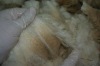 100% Merino Raw Wool