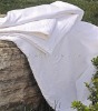 100% Mulberry Silk Duvet for Summer