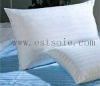 100% Mulberry Silk Pillow