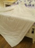 100% Mulberry silk quilt