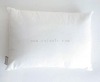 100% Natural Silk Pillow