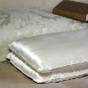 100% Natural Silk Pillows
