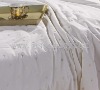 100% Nature Silk Comforter  (Printed Cotton Cover)