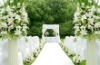 100% Nylon attractive white organza roll for wedding decoration