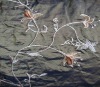 100% POLYESTER  EMBROIDERIED WINDOW  CURTAINS
