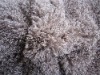 100%POLYESTER PLUSH TOY FABRIC