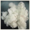 100% POLYESTER STAPLE FIBRE