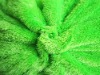 100%POLYESTER TOY FABRIC/plush toy fabric