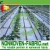 100% PP Non woven large green house plants fabric