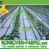 100% PP non woven fabric for crop cover