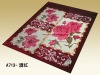 100%Polyester 200*240cm printed rascchel blanket 4.5kg