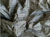 100%Polyester 75D Memory Fabric