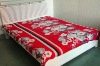 100% Polyester Fabric New Design Anti-Pilling Fleece Blanket