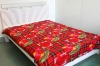 100% Polyester Fabric New Design Anti-Pilling Fleece Blanket