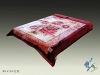 100% Polyester Printed Blanket