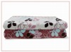 100%Polyester Printed Coral Velevt Blanket