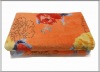 100%Polyester Printed Coral Velevt Blanket