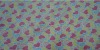 100%Polyester Printed Coral Velevt Blanket