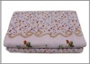 100%Polyester Printed Coral Velevt Blanket
