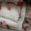 100%Polyester Printed Coral Velevt Blanket