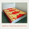 100% Polyester Rotary Scream Printed Sheet Fleece Blanket