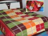 100% Polyester Soft And Warmth Home Printed Fleece Blanket