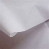 100% Polyester nonwoven interlining,two-point coated