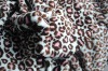 100% Polyester printed coral fleece fabric