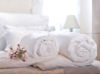 100% Silk Comforter