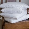 100% Silk Pillow