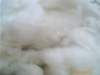 100% WXW Cashmere Fibre(Dehaired)